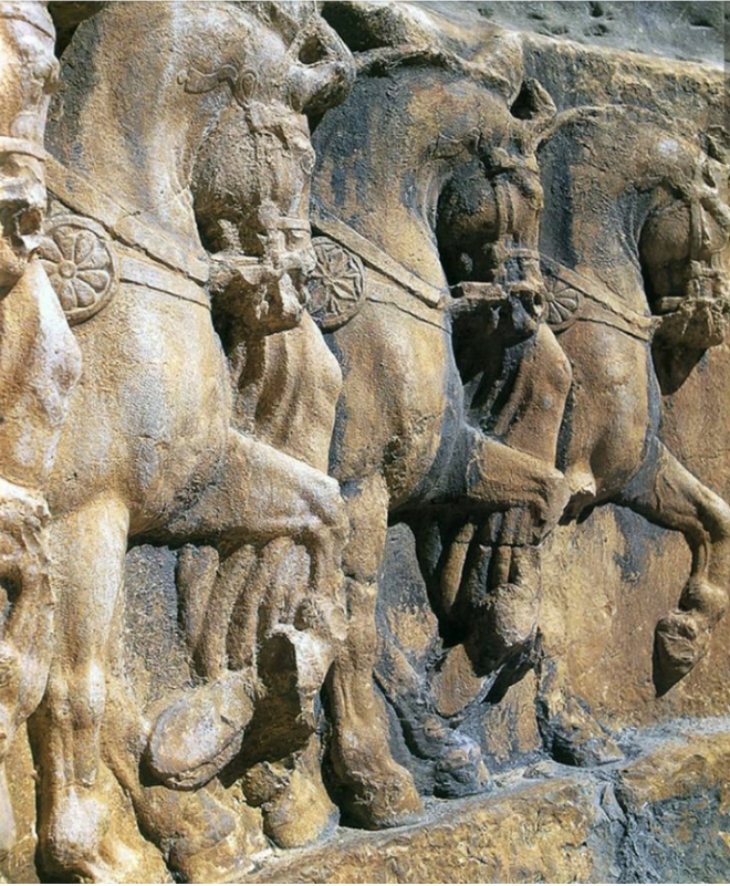 Македонската коњица